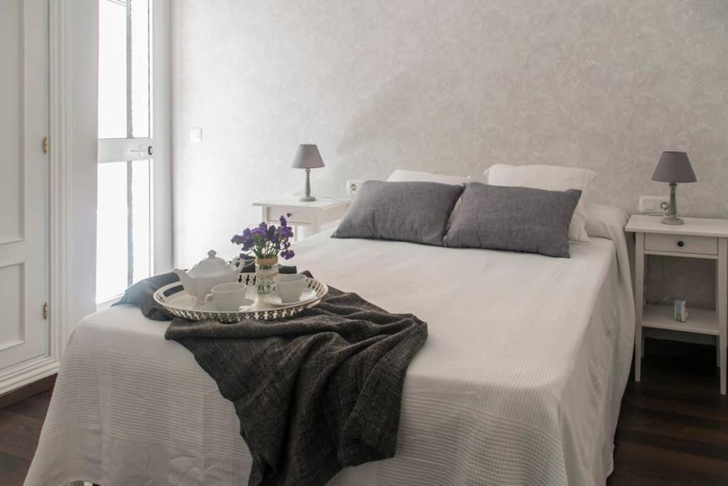 New!!! Luxury City Center & Private Terrace Málaga Dış mekan fotoğraf